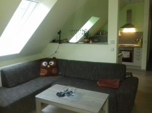 Beitrag 4 Bild 1